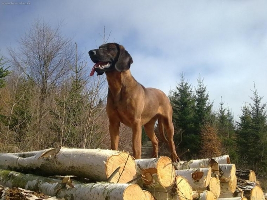 ..prekážky zvládnuté