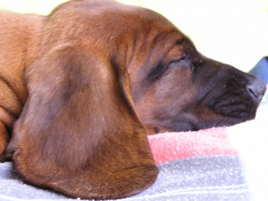 ...ešte chvíľočku....