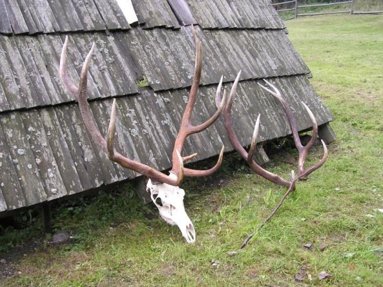 Doprovod 08 a moje zhodiky darovane strelcovi