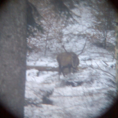 tohtoročný adept pre hosťa..