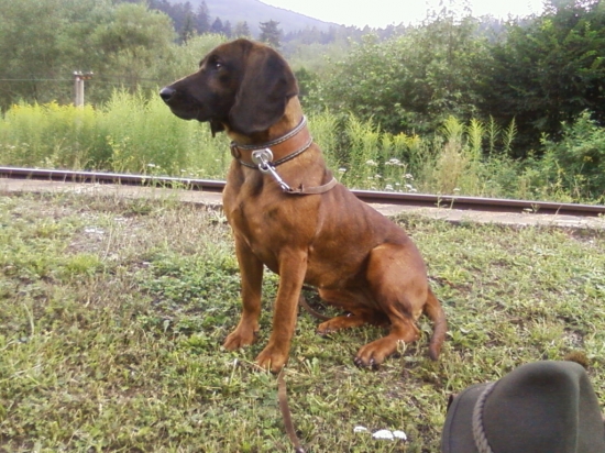 kamarátka do dažďa...