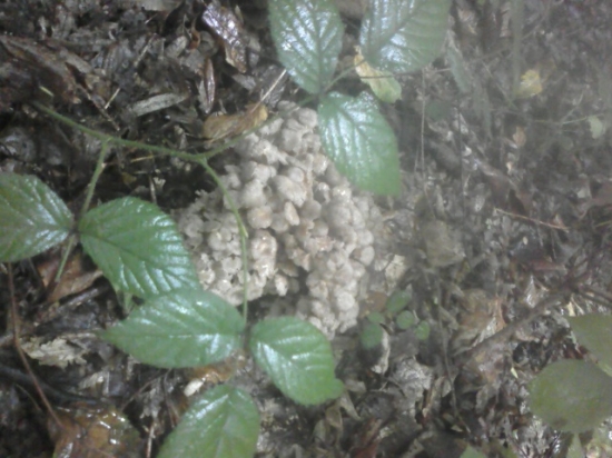 ani dážď ma neodradí