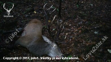 Moj prvý jelen