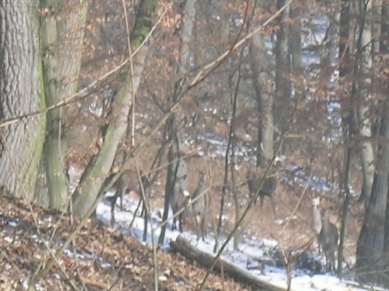 včerajši12torak