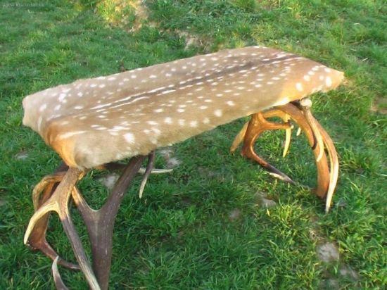 lavica po dokončeni