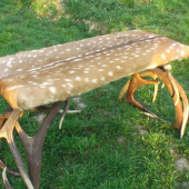 lavica po dokončeni