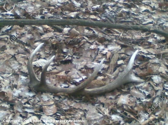 10torak