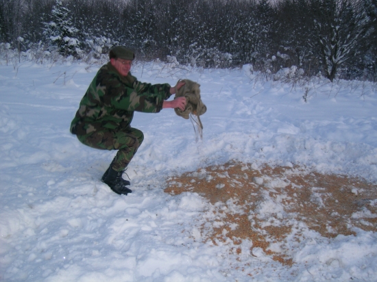 takto sa staraju na orave o zver