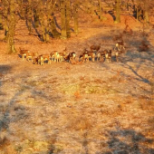 Dobré ránko z Vínnej doliny