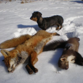 Vzpmínka na zimu...