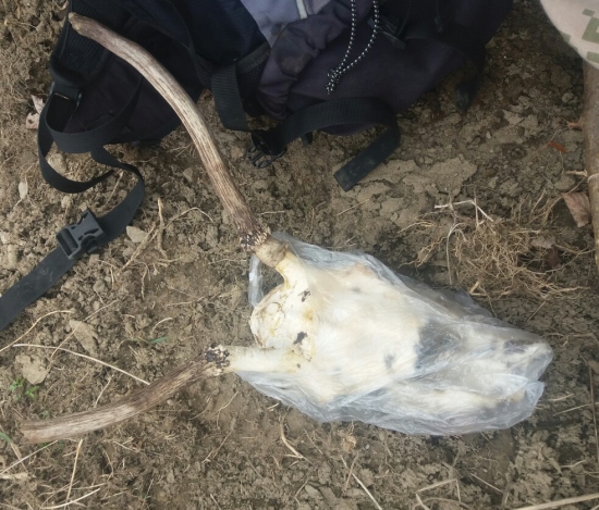 1 aprílový špicer