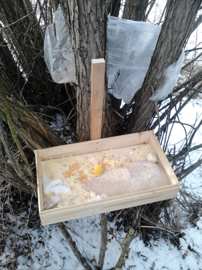 Ked sa po žatve zvisy da sa to vyuzit