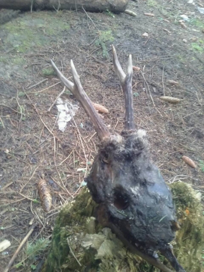 Nájdený a darovaní