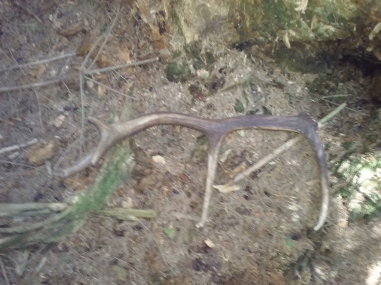 šťastie dopisalo 2/2018