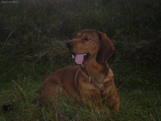 jak krasne zahleda :-)