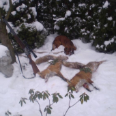 jeste mně jednu dohledaval odesla 0,5 km