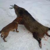 podařilo se lovu zdar