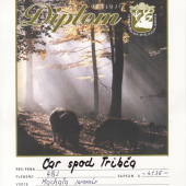 diplom