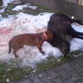 krasny darek pod stromeček