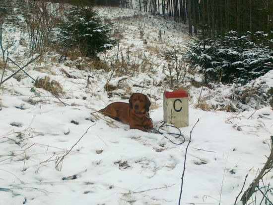 byly sme na prochazku do rodné zemně psíka ABJ