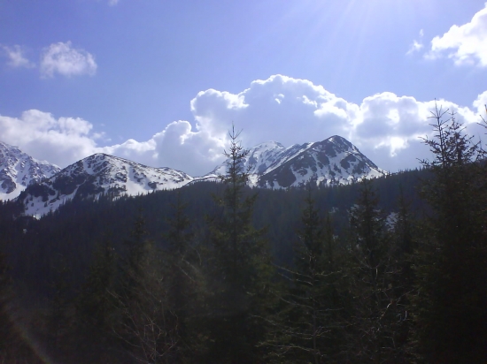 Vianočný  pozdrav.