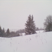 Janovky-Grápa