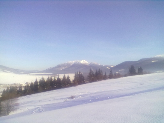 Janovky v pozadí Osobitá