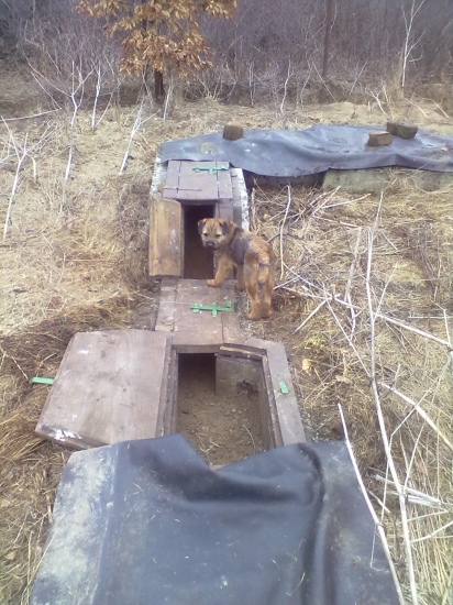 Zoznamko s umelov norou