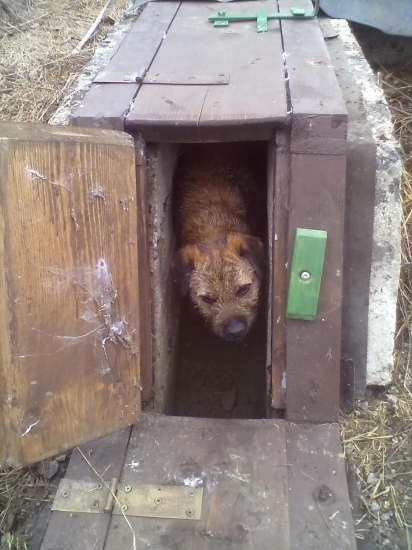 Zoznamko s umelov norou