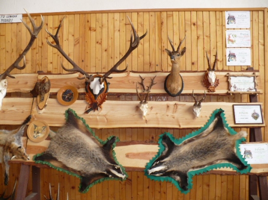 Polovnícka výstava Podbiel 2011/2012 polovnej zveri