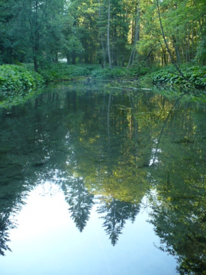 Jazierko pod chatov -Havranov