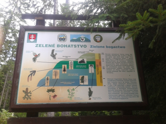 Cestou na Babiu Horu 1723 m.n.m