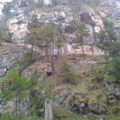 Uplaziky