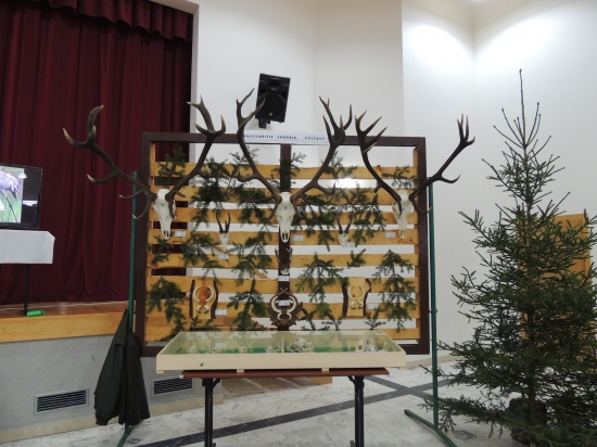 Najsilnejšie trofeje výstavy za rok 2012