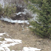 Ešte si trocha zdriemnem