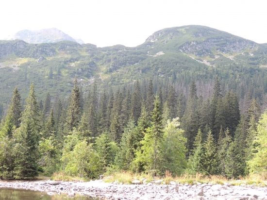 Pri Tatliakovej CHate