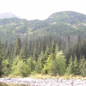 Pri Tatliakovej CHate