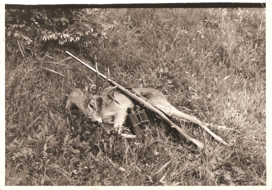 Srnček za starých čias