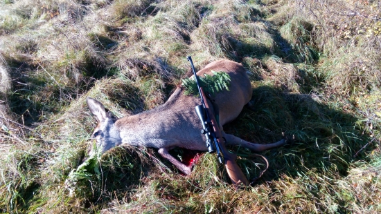 Zadarilo sa po dlhšom čase