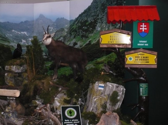 Chovatelská výstava -ORAVA-ZUBEREC-od 23.3-29.3.09