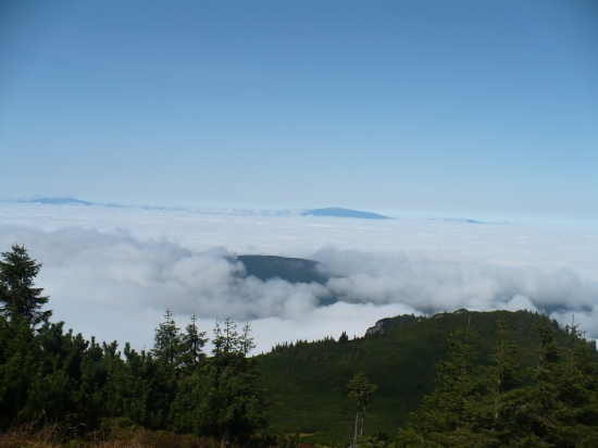 Osobitá pohlad s nej