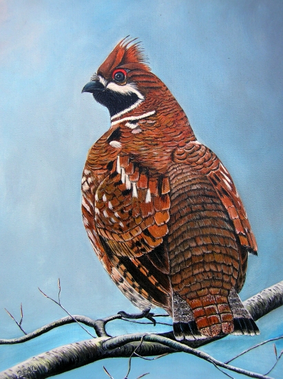 Jariabok, akryl na plátne 30x40 cm.