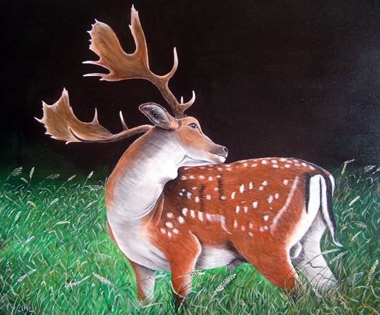 Daniel, akryl 50x60 cm.