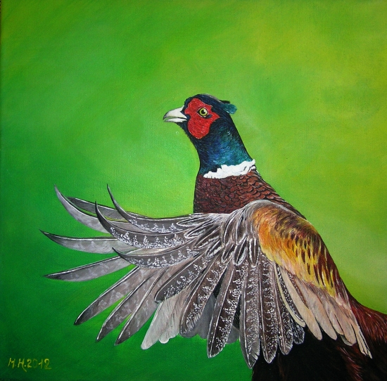 Bažant, akryl 40x40 cm.