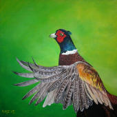 Bažant, akryl 40x40 cm.