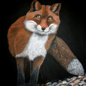 Lišiak, akryl 70x50 cm.