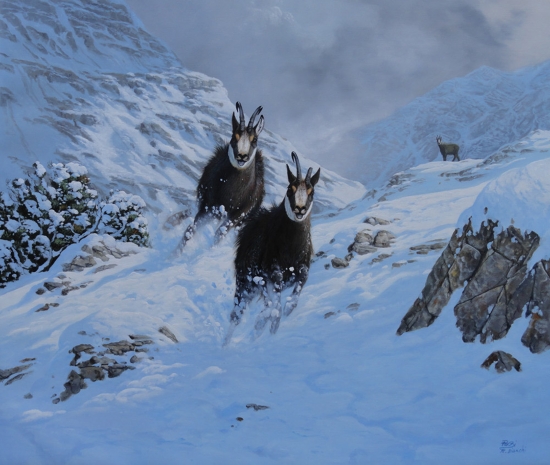 Roberto Bianchi, kamzíky