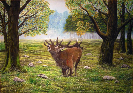 Jeleň v ohni, akryl 70x50 cm