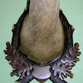 Podložka