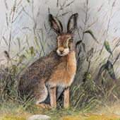 Akryl 50x40 cm.